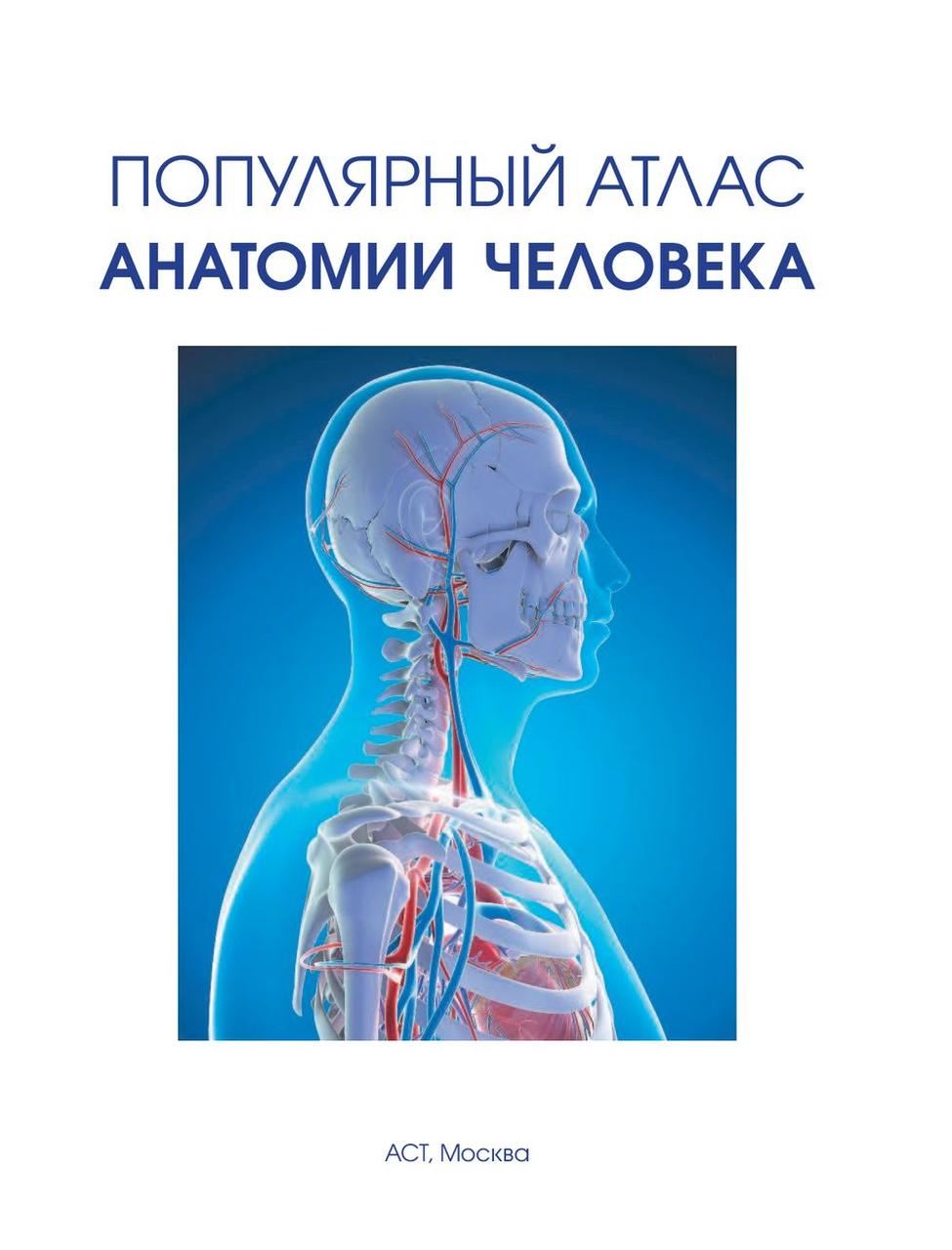 Популярный атлас анатомии человека - фото 4 - id-p194035846
