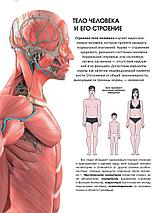 Популярный атлас анатомии человека, фото 3