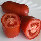 Томат "Айдар" F1 , Франция, (5 шт), фото 3