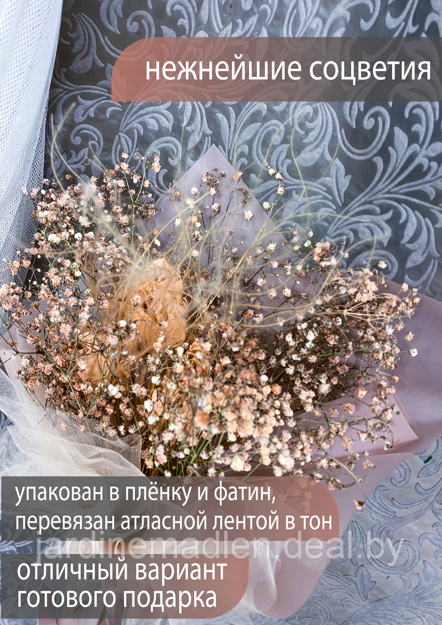Букет сухоцветов «Нежность» кремовый. Роза, стипа, гипсофила - фото 2 - id-p194081981