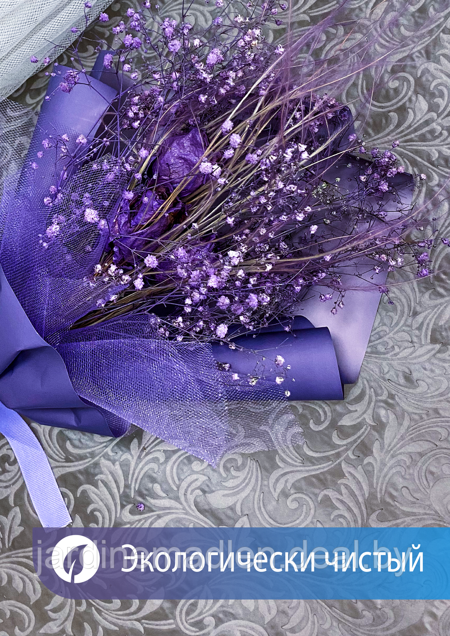 Букет сухоцветов «Нежность» лиловый. Роза, стипа, гипсофила - фото 4 - id-p194081997