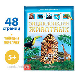 Детская энциклопедия в твёрдом переплёте «Животные», 48 стр.