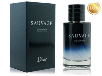 Мужская парфюмерная вода Christian Dior - Sauvage Edp 100ml