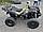 Квадроцикл Motoland 250 Adventure без ПТС Летняя комплектация, фото 3