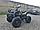 Квадроцикл Motoland 250 Adventure без ПТС Летняя комплектация, фото 4