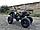 Квадроцикл Motoland 250 Adventure без ПТС Летняя комплектация, фото 5