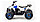 Квадроцикл Motoland Eagle 110 без ПТС Летняя комплектация, фото 2
