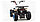 Квадроцикл Motoland Eagle 110 без ПТС Летняя комплектация, фото 4