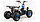 Квадроцикл Motoland Eagle 110 без ПТС Летняя комплектация, фото 6
