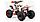 Квадроцикл Motoland Raptor 125 без ПТС Летняя комплектация, фото 3