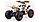 Квадроцикл Motoland Raptor 125 без ПТС Летняя комплектация, фото 5