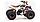 Квадроцикл Motoland Raptor 125 без ПТС Летняя комплектация, фото 6