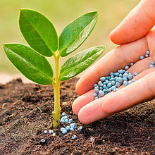 Удобрения и Средства защиты растений