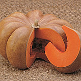 Тыква "Мускат Де Прованс", Франция, (3 шт), фото 2
