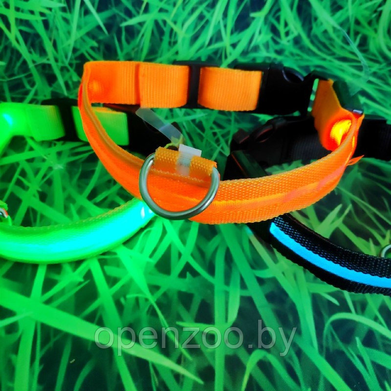 Светящийся ошейник для собак (3 режима) Glowing Dog Collar Зеленый S (MAX 40 sm) - фото 8 - id-p191704056