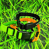 Светящийся ошейник для собак (3 режима) Glowing Dog Collar Черный М (MAX 45 sm), фото 5