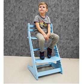 Растущий регулируемый стул Вырастайка Eco Prime голубой