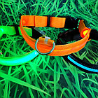 Светящийся ошейник для собак (3 режима) Glowing Dog Collar Черный S (MAX 40 sm), фото 8