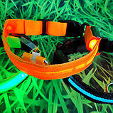 Светящийся ошейник для собак (3 режима) Glowing Dog Collar Оранжевый М (MAX 45 sm), фото 6