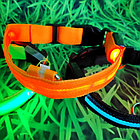 Светящийся ошейник для собак (3 режима) Glowing Dog Collar Голубой М (MAX 45 sm), фото 7