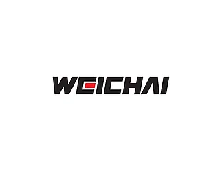 Топливный фильтр WEICHAI 1000424916