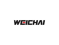 Топливный фильтр WEICHAI 612600081335