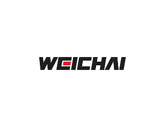 Топливный фильтр WEICHAI 1002020787