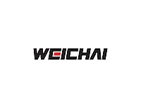 Топливный фильтр WEICHAI 1002004064