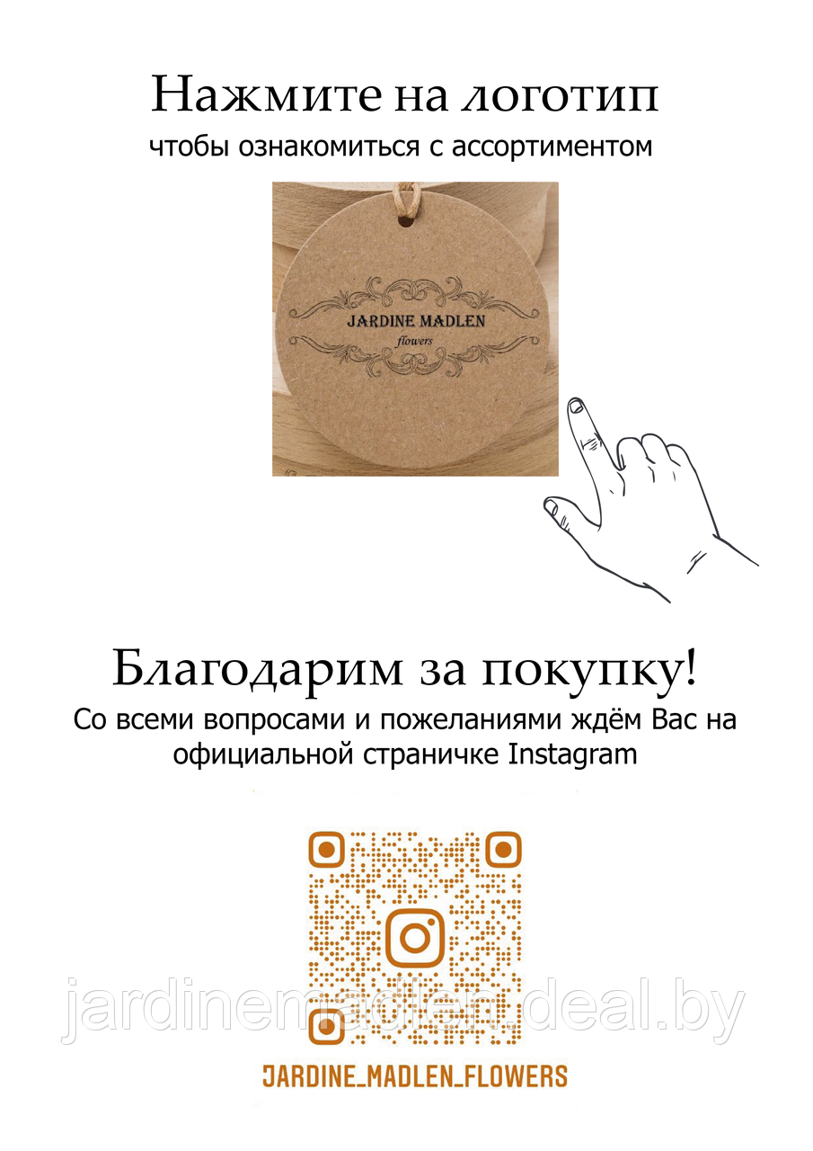 Набор природных материалов. палочки корицы и анис - фото 5 - id-p194149148