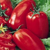 Томат "Хайпил 108" F1, Голландия, (10 шт), фото 2