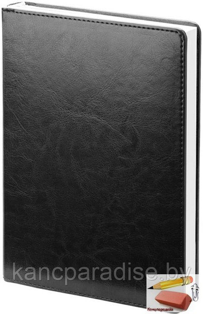 Ежедневник датированный на 2023 год А5 InFolio Berlin, 352 страницы, кожзам, черный - фото 1 - id-p194125610