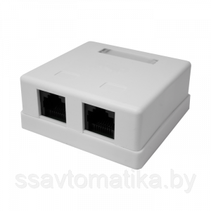 Розетка настенная RJ-45, 8P8C, Cat.5e, 2 порта UTP (10-0309) - фото 1 - id-p194162650