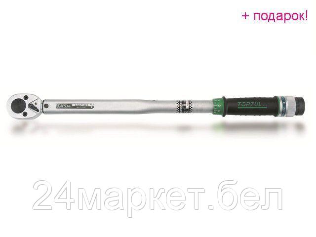 Ключ Toptul 3/8" 6-30 Нм ANAF1203