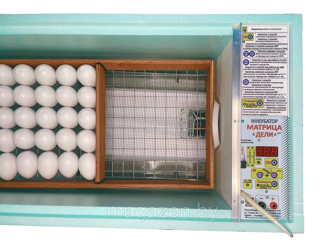 Инкубатор Матрица ДЕЛИ 72 яйца - фото 9 - id-p112709019