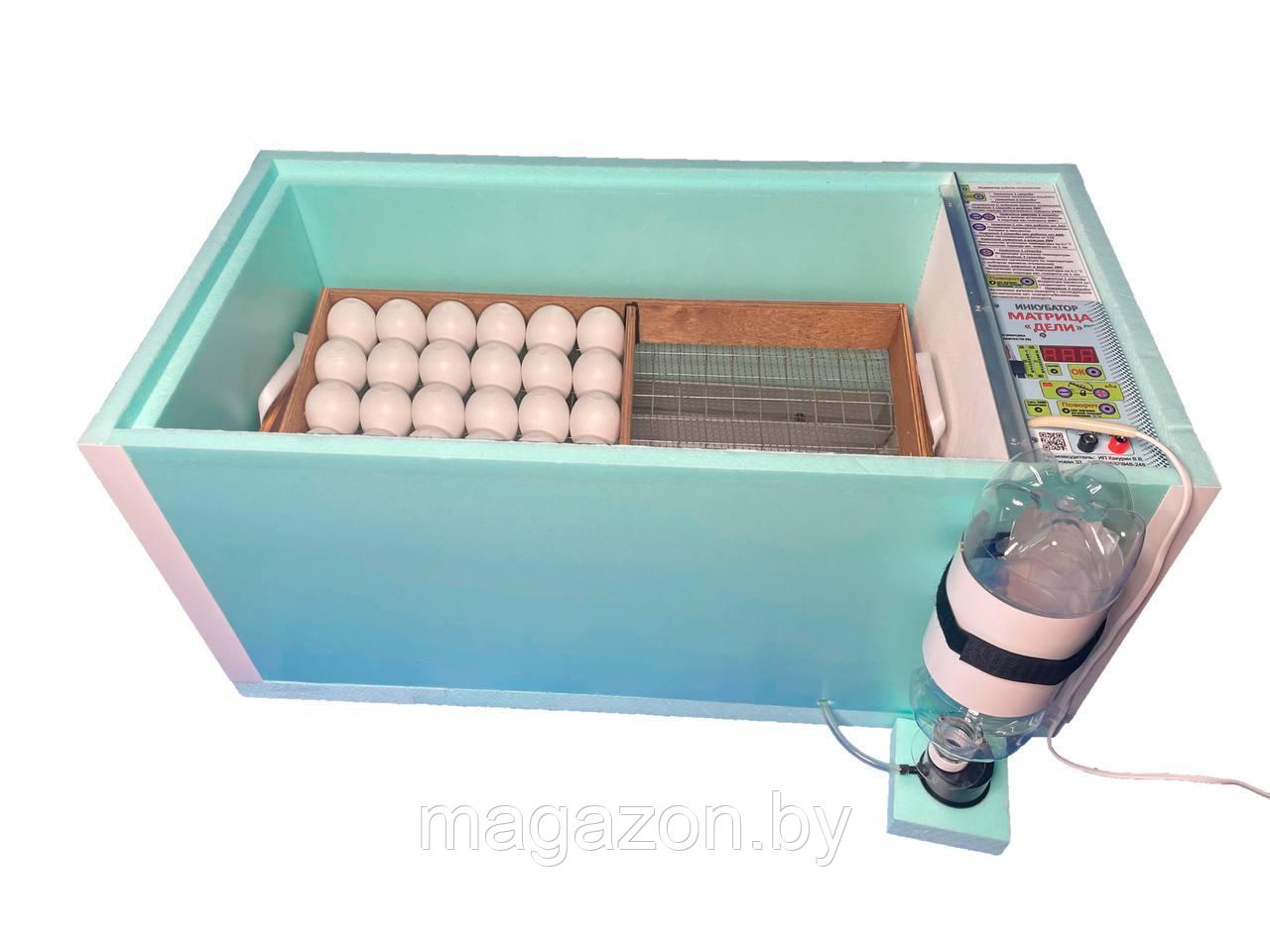 Инкубатор Матрица ДЕЛИ 72 яйца - фото 5 - id-p112709019