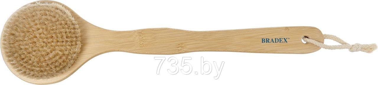Щётка для сухого массажа из бамбука с щетиной кабана с ручкой 39 см - фото 2 - id-p175812167