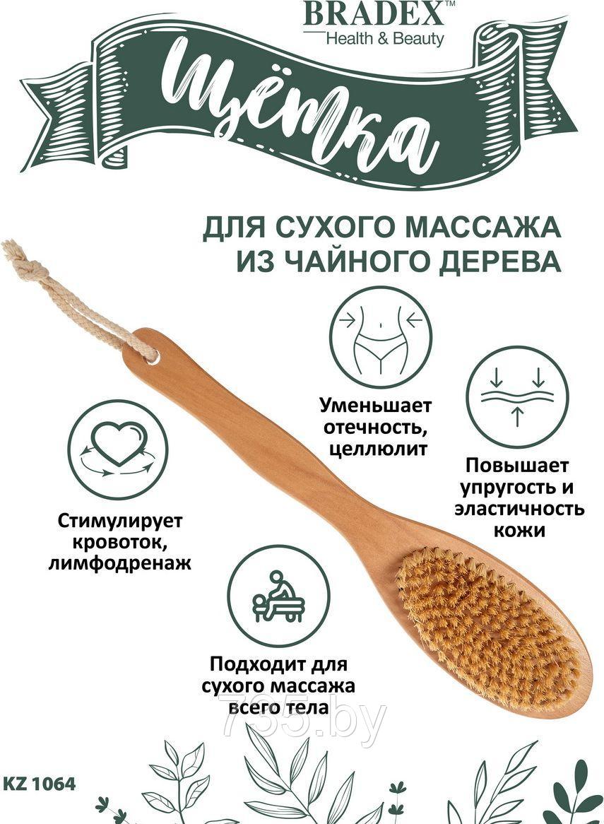 Щётка для сухого массажа из чайного дерева с щетиной кактуса с ручкой 30 см - фото 4 - id-p175812168