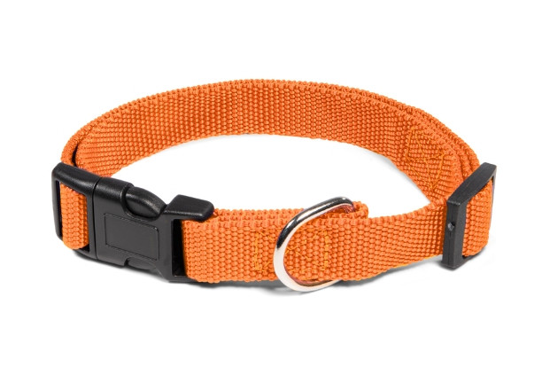 Ошейник нейлоновый для собак "Эталон" Gamma (оранжевый) L 25*350-550 мм - фото 1 - id-p194072413