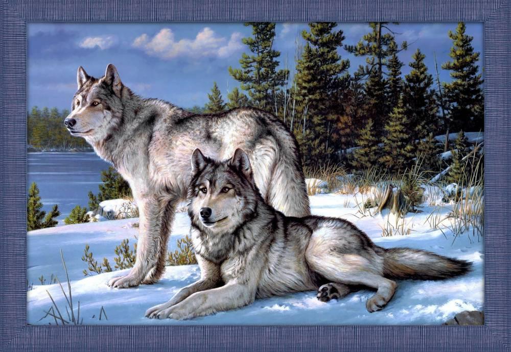 Картина стразами "Два волка" - фото 1 - id-p194234458