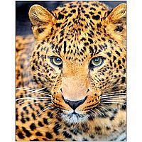 Картина стразами "Взгляд леопарда"