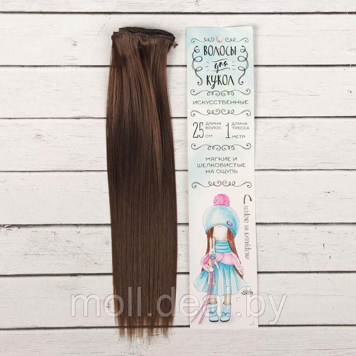 Волосы - тресс для кукол "Прямые" длина волос: 25 см, ширина:100 см, цвет № 6К - фото 1 - id-p193491953