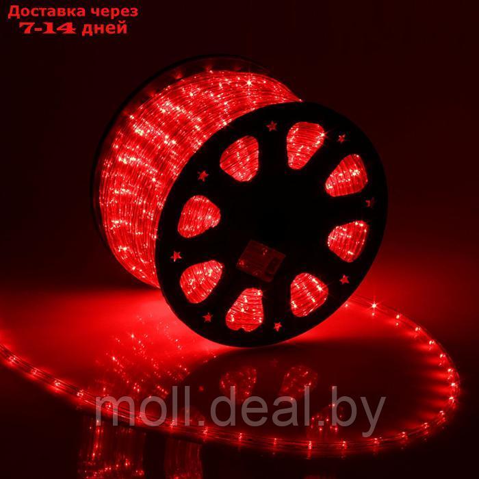Световой шнур Luazon Lighting 11 мм, IP65, 100 м, 24 LED/м, 220 В, 2W, постоянное свечение, свечение красное - фото 1 - id-p193964095