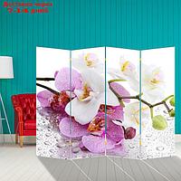 Ширма "Орхидеи. Утренняя свежесть", 200 × 160 см