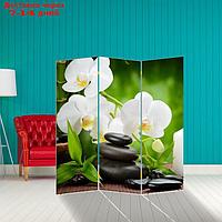 Ширма "Белая орхидея", 160 × 150 см