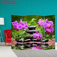 Ширма "Орхидеи. Гармония", 200 × 160 см