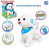 IQ BOT  Интерактивная игрушка "Мой дружок", звук, свет SL-05863