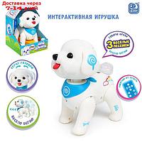 IQ BOT Интерактивная игрушка "Мой дружок", звук, свет SL-05863