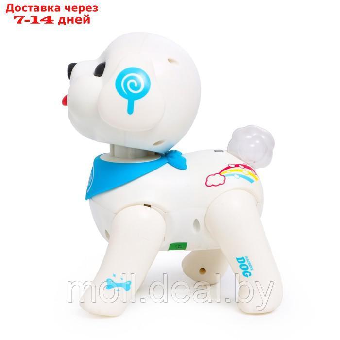 IQ BOT Интерактивная игрушка "Мой дружок", звук, свет SL-05863 - фото 3 - id-p193964717