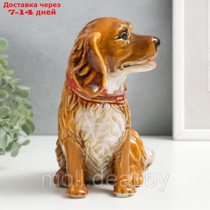 Сувенир керамика "Собака в ошейнике" МИКС 15х13х9 см - фото 3 - id-p193971476