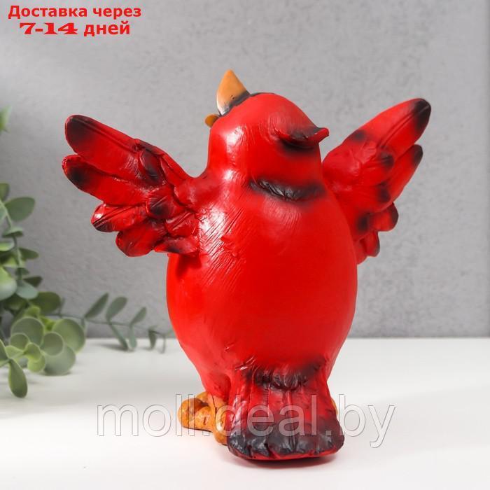 Сувенир полистоун "Красная птица" 18х10,5х19,5 см - фото 4 - id-p193971517